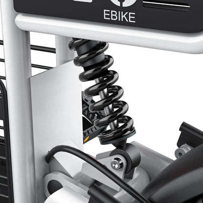Coswheel T16 Mini Commuter eBike