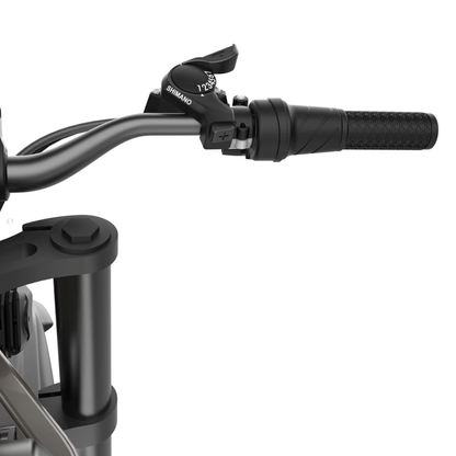 Coswheel R19 Electric Dirt Bike