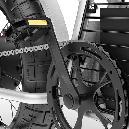 Coswheel CT20S Fat Tire eBike