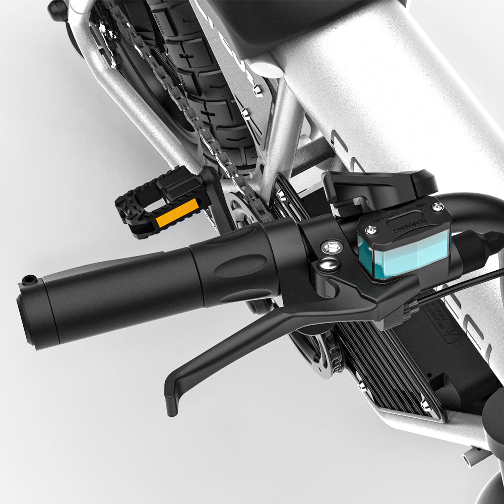 Coswheel CT20S Fat Tire eBike