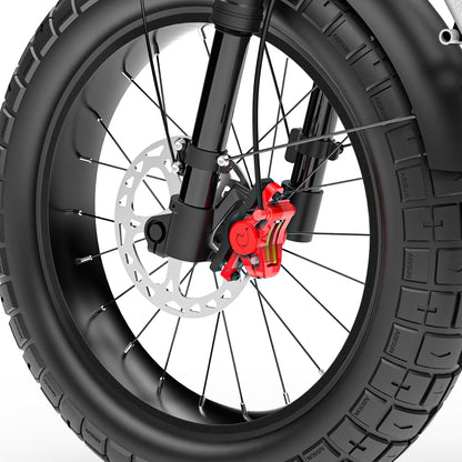 Coswheel CT20S Fat Tire eBike