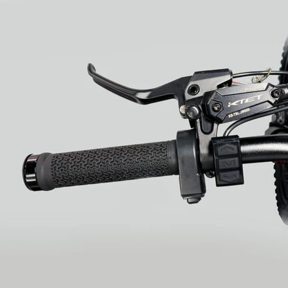 Coswheel R19 Electric Dirt Bike