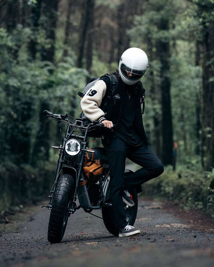 Coswheel CT20S Fat Tire eBike