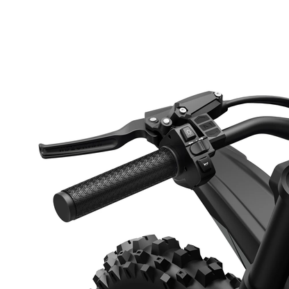 Coswheel R6000 Electric Dirt Bike