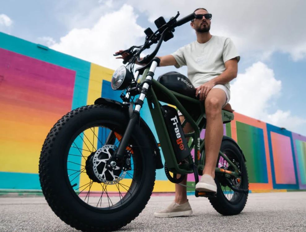 Freego Flash F3 Pro Dual Motor and Battery eBike