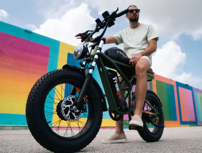 Freego Flash F3 Pro Dual Motor and Battery eBike