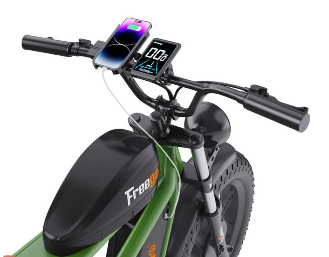 Freego Flash F3 Pro Dual Motor and Battery eBike
