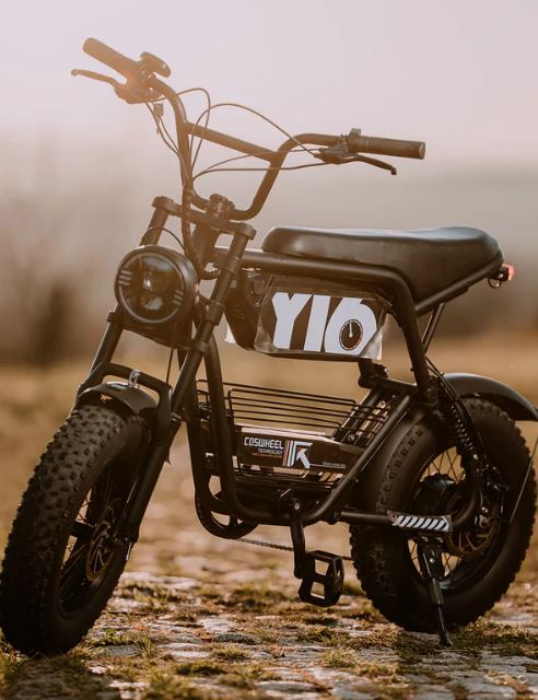 Coswheel Y16 Mini eBike