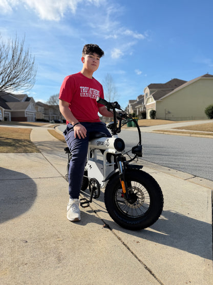Coswheel T16 Mini Commuter eBike