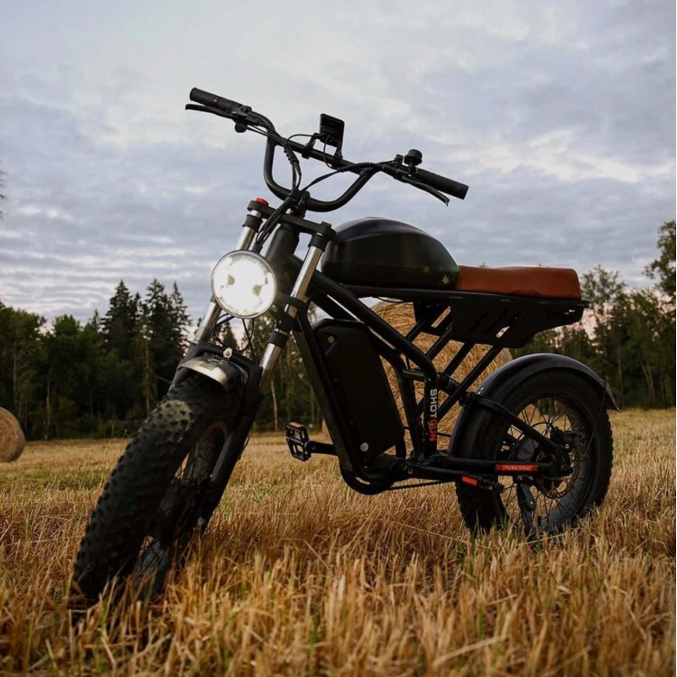 Freego Flash F3 Pro Dual Motor and Battery eBike