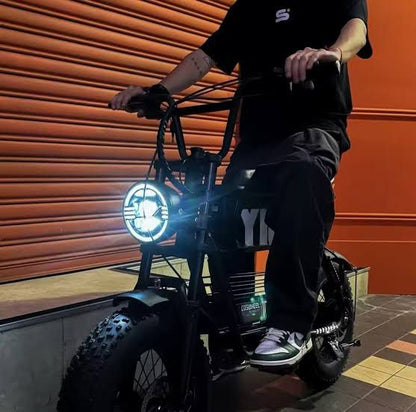 Coswheel Y16 Mini eBike