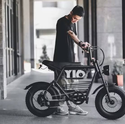 Coswheel Y16 Mini eBike