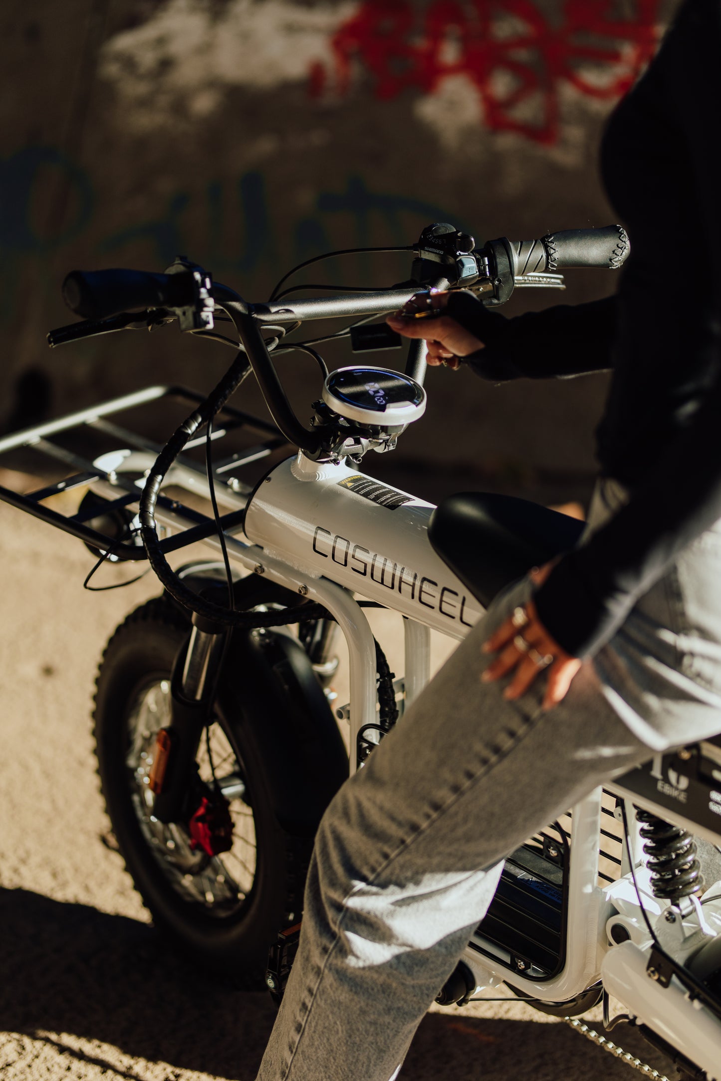 Coswheel T16 Mini Commuter eBike