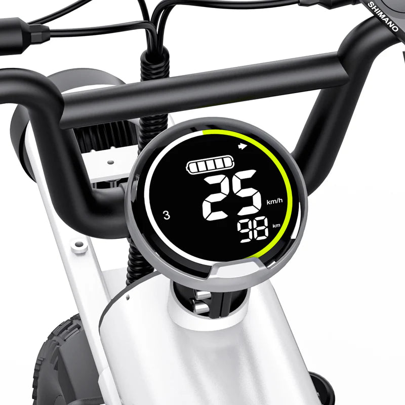 Coswheel T16 Mini Commuter eBike