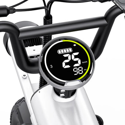Coswheel T16 Mini Commuter eBike