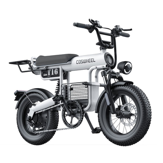 Coswheel T16 Mini Commuter eBike